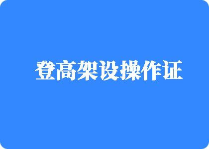 日插屄登高架设操作证